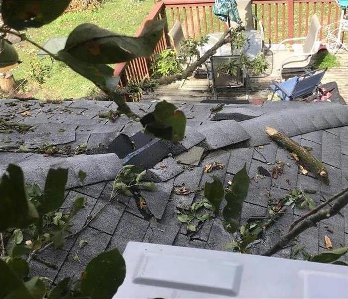 roof with fallen tree